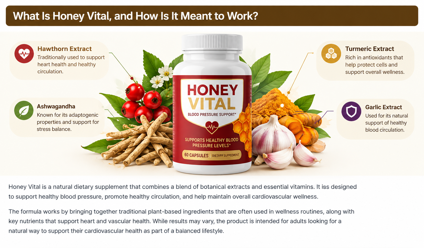 HoneyVital supplement infographic